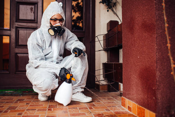 Attic and Crawl Space Rodent Treatment in Ho-Ho-Kus