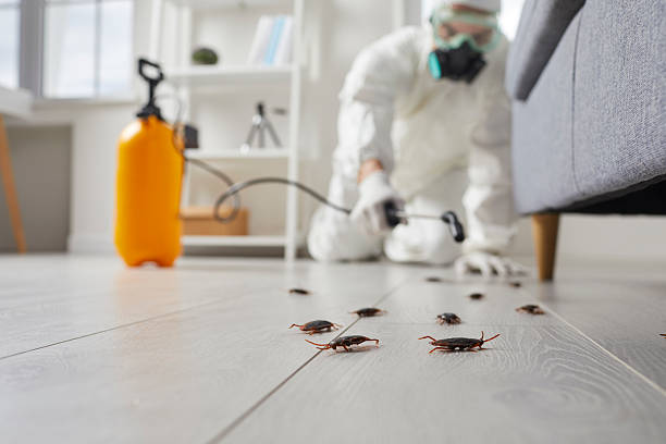 Commercial Rodent Management in Ho-Ho-Kus